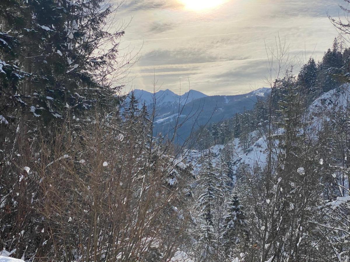 Appartement Steinfisch Ramsau am Dachstein Kültér fotó