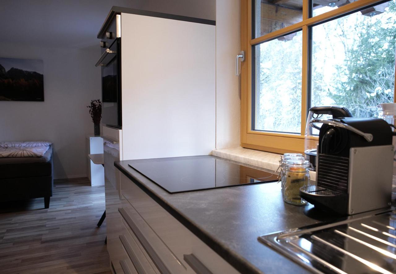 Appartement Steinfisch Ramsau am Dachstein Kültér fotó