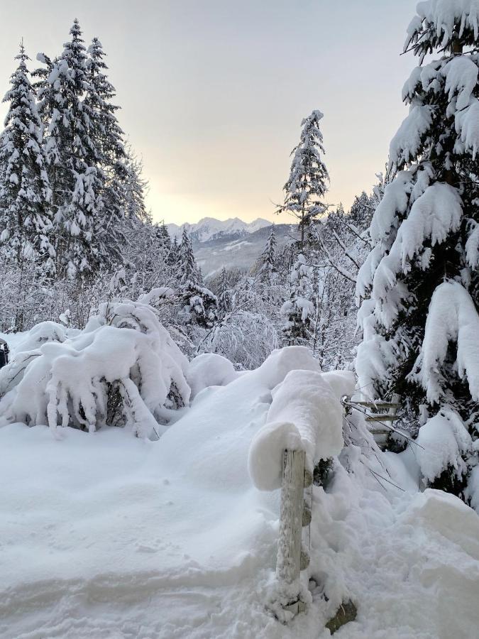 Appartement Steinfisch Ramsau am Dachstein Kültér fotó