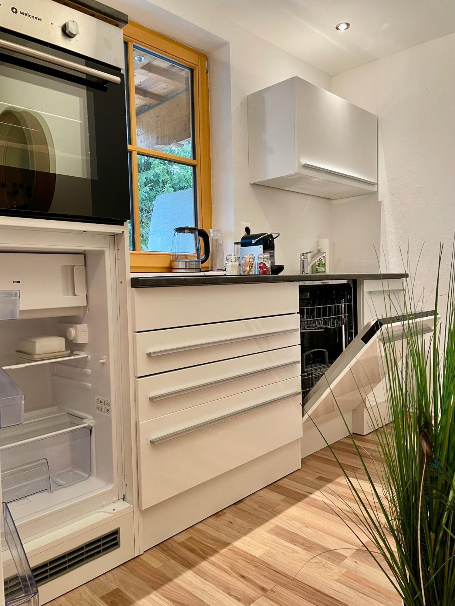 Appartement Steinfisch Ramsau am Dachstein Kültér fotó