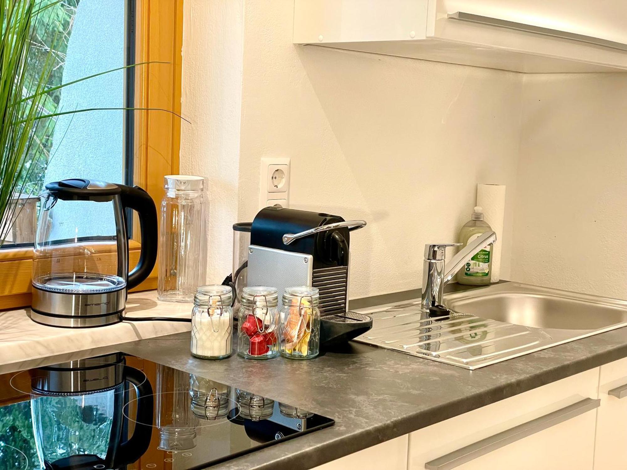 Appartement Steinfisch Ramsau am Dachstein Kültér fotó